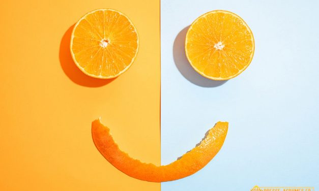 7 idées étonnantes pour réutiliser vos épluchures d’orange